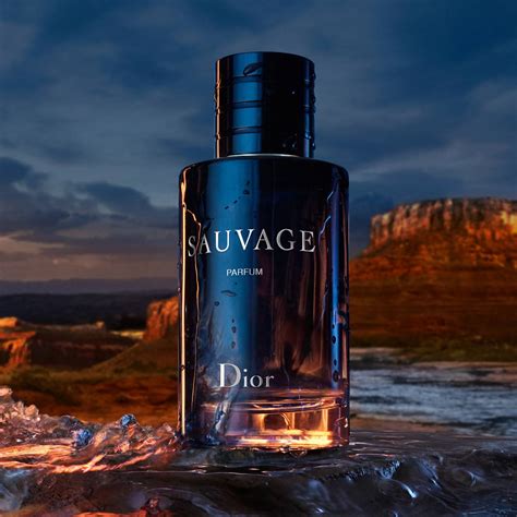 prix sauvage dior parfum|sauvage parfum best price.